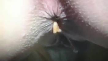Women pooping outdoors